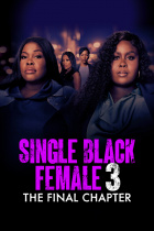 Single Black Female 3: The Final Chapter