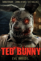 Ted Bunny