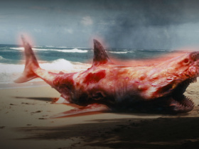 Atomic Shark