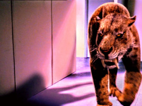 Attack of the Sabretooth
