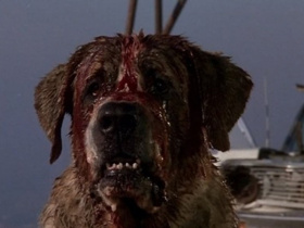 Cujo