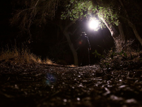 Digging Up the Marrow