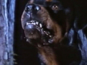 Dogs of Hell