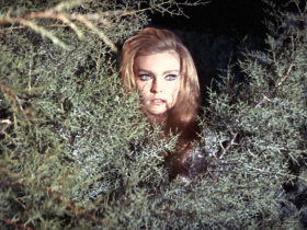 Frankenstein's Bloody Terror