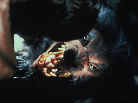 Howling V: The Rebirth