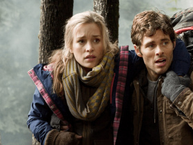 Into the Grizzly Maze