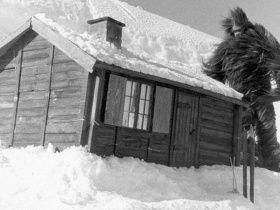 Invasion of the Animal People