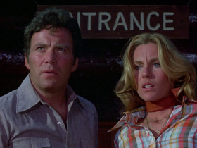 Kingdom of the Spiders