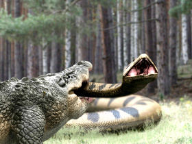 Lake Placid vs. Anaconda