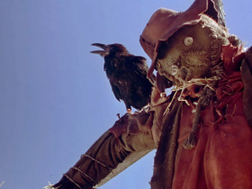 Night of the Scarecrow
