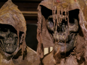 Night of the Seagulls