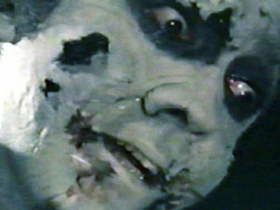 Night of the Zombies