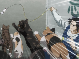 Nyaight of the Living Cat