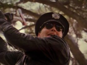 Psycho Cop