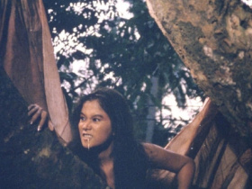 Shake, Rattle & Roll