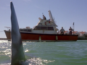Shark Attack 2