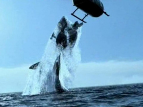 Shark Attack in the Mediterranean