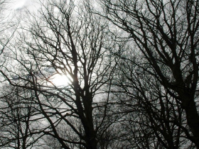 Tales from the Darkside