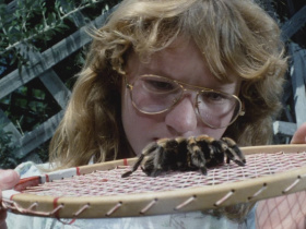 Tarantulas: The Deadly Cargo