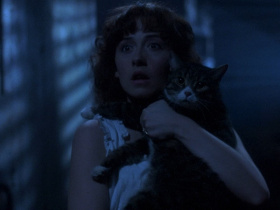 The Amityville Curse