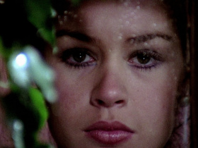 The Blood Spattered Bride