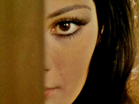 The Case of the Bloody Iris