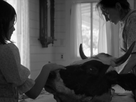 The Eyes of My Mother