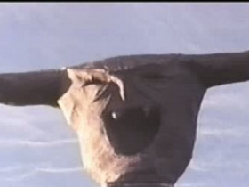The Final Sacrifice