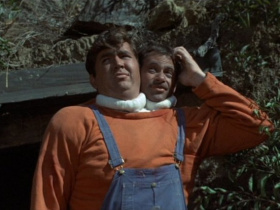 The Incredible 2-Headed Transplant