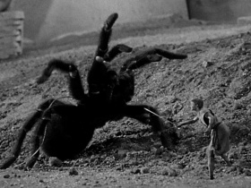 The Incredible Shrinking Man