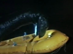 The Loch Ness Horror