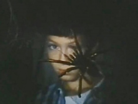 The Spider Labyrinth