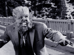 The Werewolf