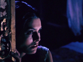 The Whip and the Body