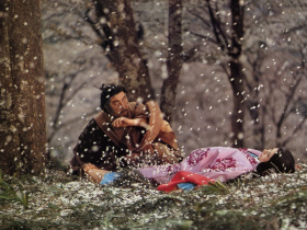 Under the Blossoming Cherry Trees