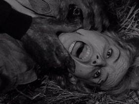 Werewolf in a Girls' Dormitory