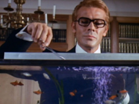 Your Sweet Body to Kill