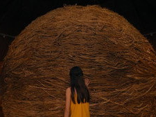 Ball of Twine (Kansas) (1)