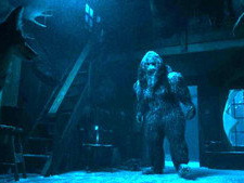 Scared Stiff (Oregon) (2)