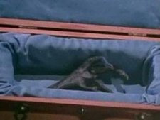 The Tale of the Twisted Claw