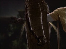 The Sandman Cometh