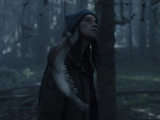 We will no longer go to the woods