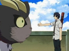 Black Cat