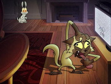 Evil Cat Videos