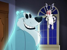 Bearshee