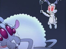 Spider Lamb