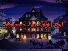 Whooo Is... The Knight Owl
