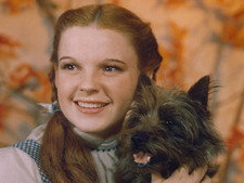 The Wizard of Oz