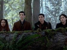 The Case of the Creeping Forest