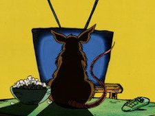 Murray and the Rats / Safe At Home / The Gift / Maple Syrup